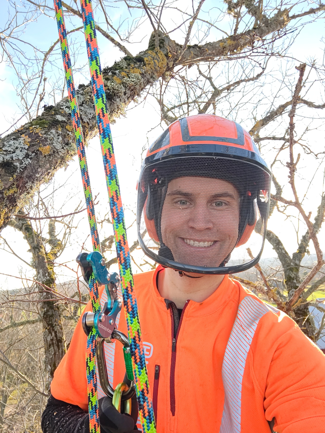 Marcus, arborist på MB Natur